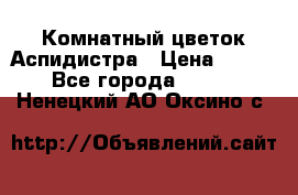 Комнатный цветок Аспидистра › Цена ­ 150 - Все города  »    . Ненецкий АО,Оксино с.